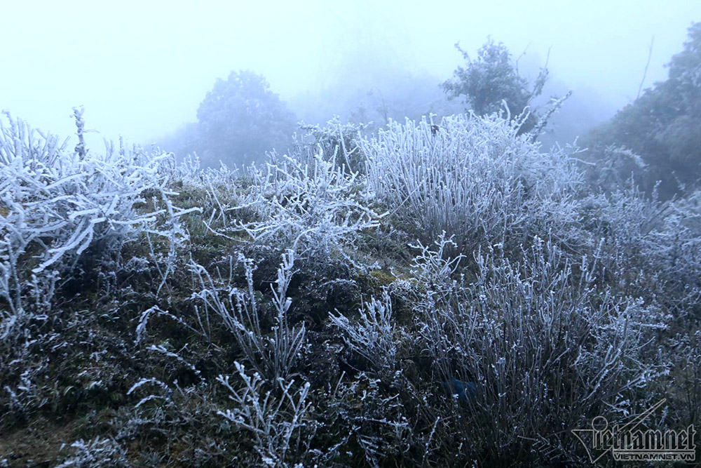 Băng tuyết phủ trắng đỉnh đèo Ô Quý Hồ